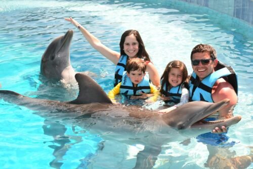 Tour a Tulum con experiencia de delfines Tour a Tulum con experiencia de delfines